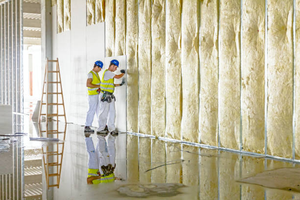 Best Insulation Maintenance and Repair in Bylas, AZ